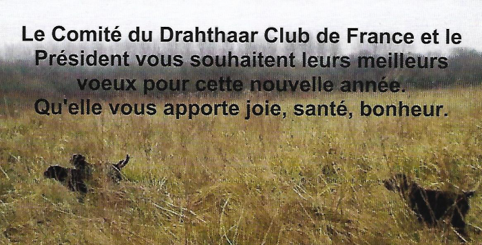 voeux 2017 voeux 2017