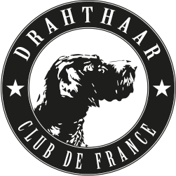 Drahthaar Club de France - Promotion et amélioration du Deutsch Drahthaar